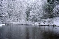 Winter on the Pere Marquette River