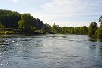 Manistee River Fishing Guides