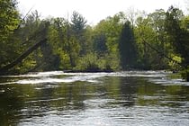 Summer on the Pere Marquette River