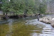 Pere Marquette River Fishing