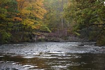 Fall on the Pere Marquette River